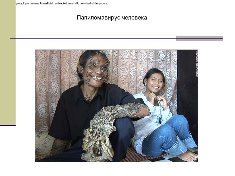 Папиломавирус человека